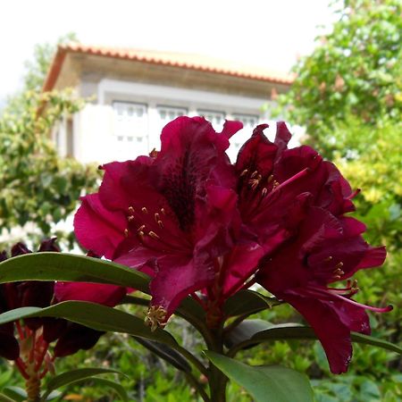 Quinta Do Bento Novo - Casa De Campo - Turismo Rural Viana do Castelo Exteriör bild