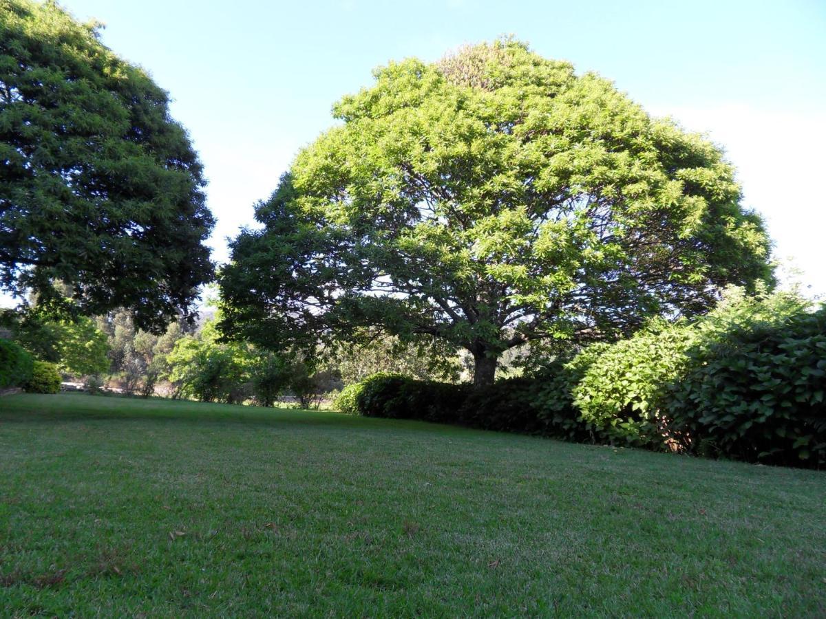 Quinta Do Bento Novo - Casa De Campo - Turismo Rural Viana do Castelo Exteriör bild