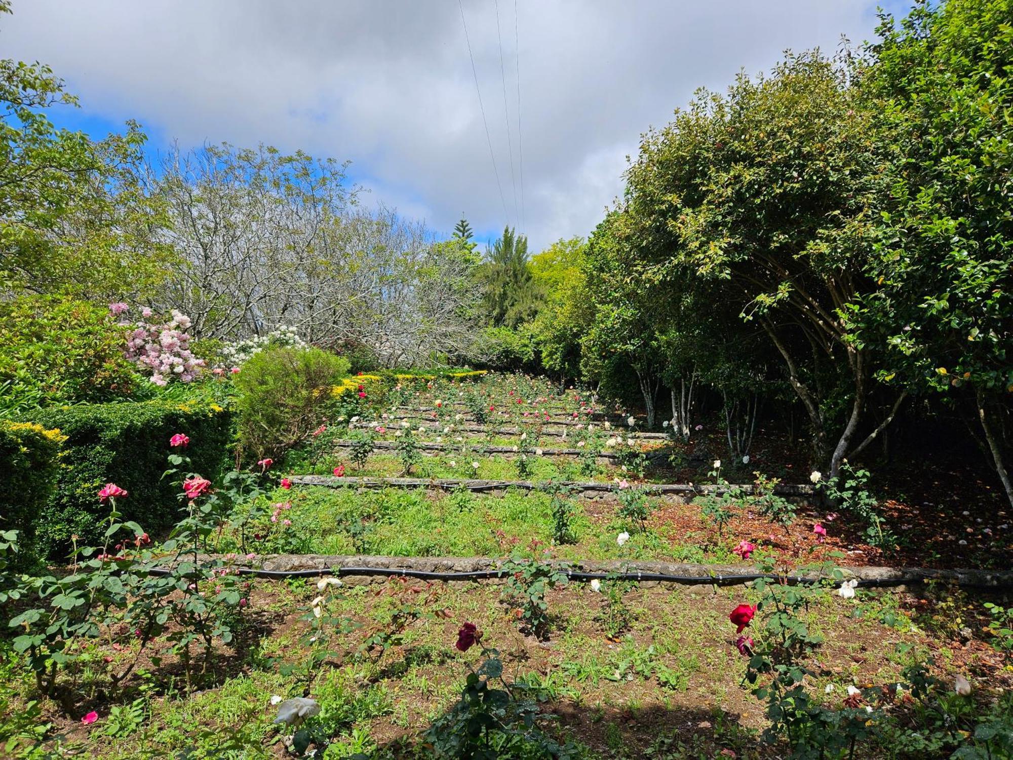 Quinta Do Bento Novo - Casa De Campo - Turismo Rural Viana do Castelo Exteriör bild